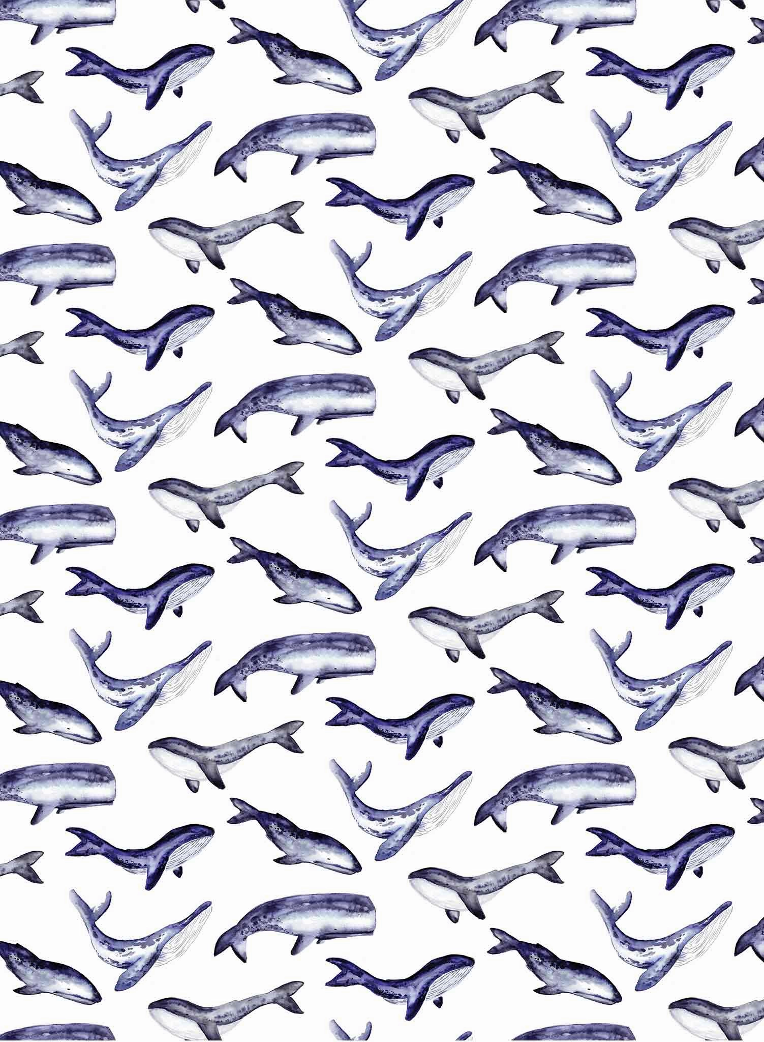 Whale Tale, Wallpapernordic minimalist wallpaper