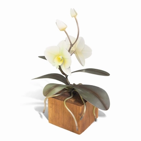 White Orchid Teak Base -  Smallbedding sets ,throw blankets 