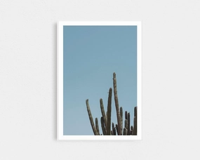 Wild Cactusnordic style wall decor