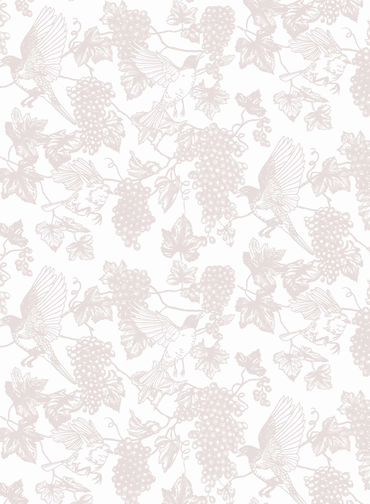 Wine Tasting, Wallpaper