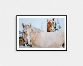 Winter Brumbiesmodern abstract painting decor
