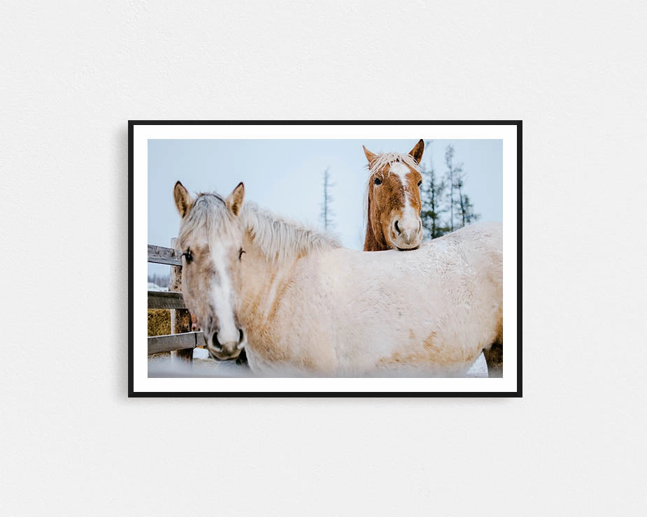 Winter Brumbiesmodern abstract painting decor