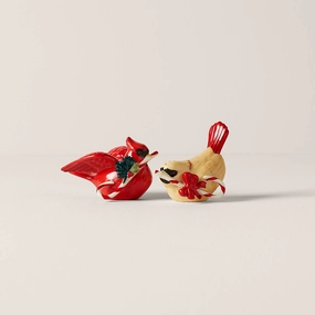 Winter Greetings Salt & Pepper Setmodern kitchen decor ,kitchen dinner set ,dinnerware 