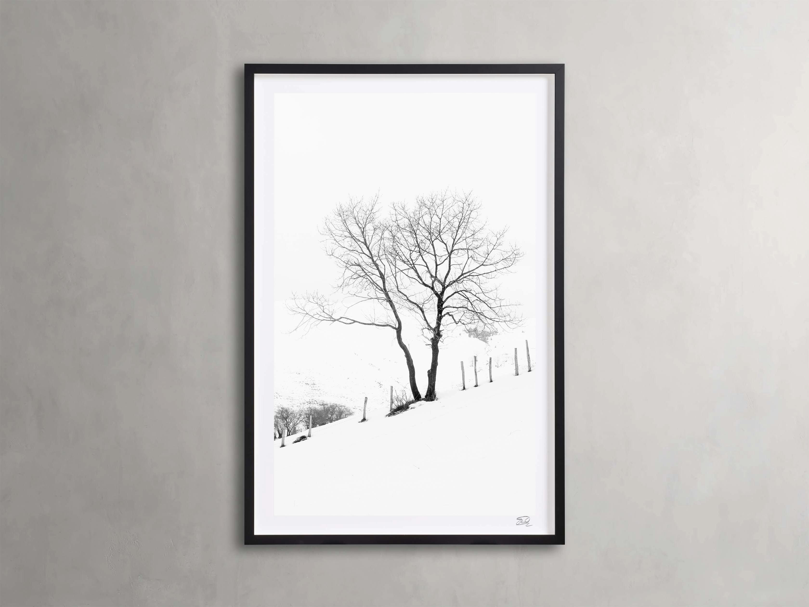 Winter II Framed Printhome decor ,wall decor 