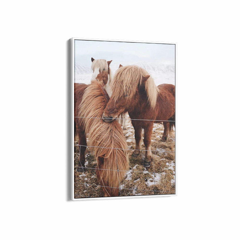 Winter Ponies Second Edition