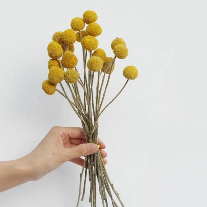 Yellow Dried Flowers - Bunch of 20home decoration ,modern home decor 