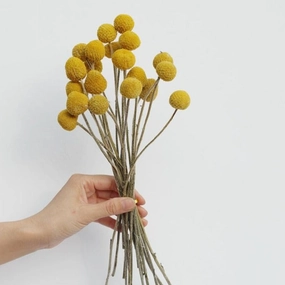 Yellow Dried Flowers - Bunch of 20home decoration ,modern home decor 